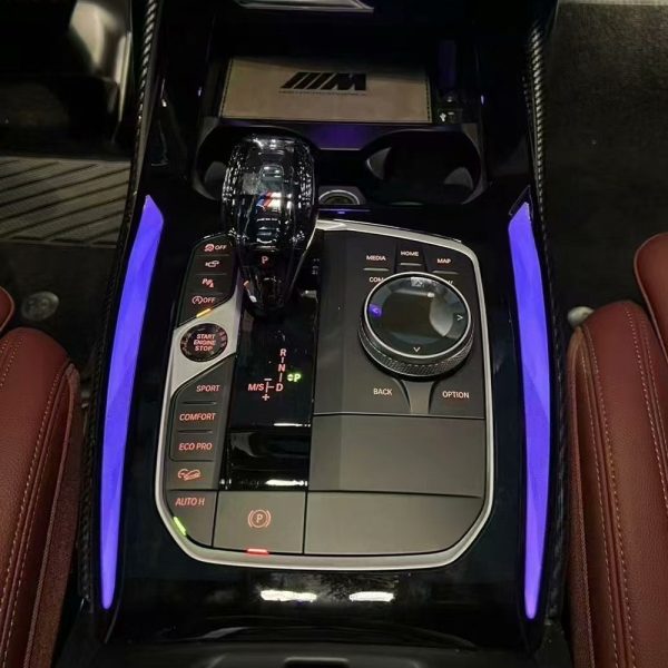 BMW Center Console Saddle Light X4